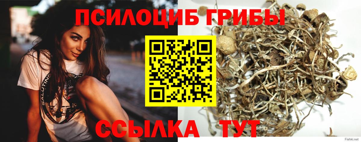 Псилоцибиновые грибы MAGIC MUSHROOMS Шадринск
