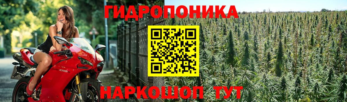 Бошки Шишки LSD WEED  Марихуана ГИДРОПОН  Бошки марихуана Amnesia  Каннабис White Widow  Шадринск  Вход с VPN 